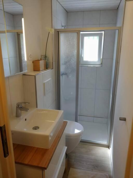 Bijou 1 Huebsche 1 Zimmer Wohnung Herisau Exterior foto